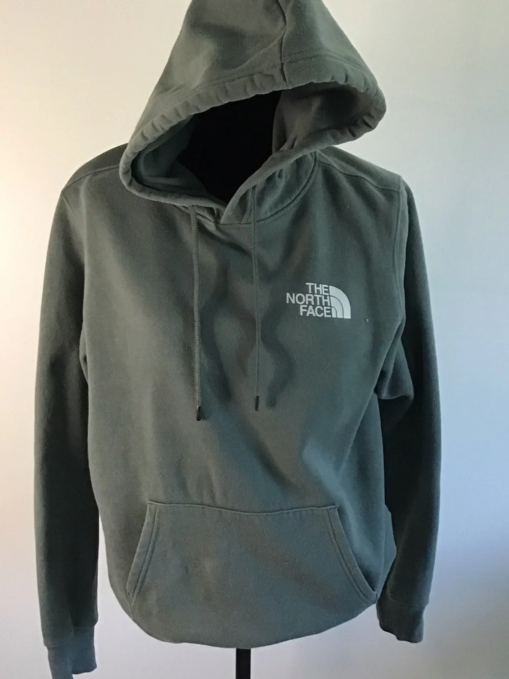 The North Face Men's Hoodie in Sage Green Fleece
